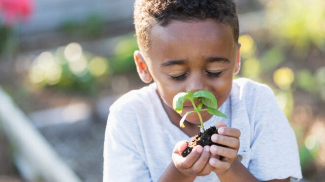 how-to-start-an-herb-garden-featured