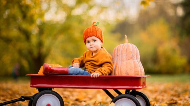 Baby girl in a wagon with a pumpkin