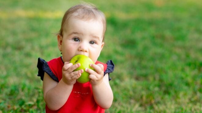Baby eating an apple