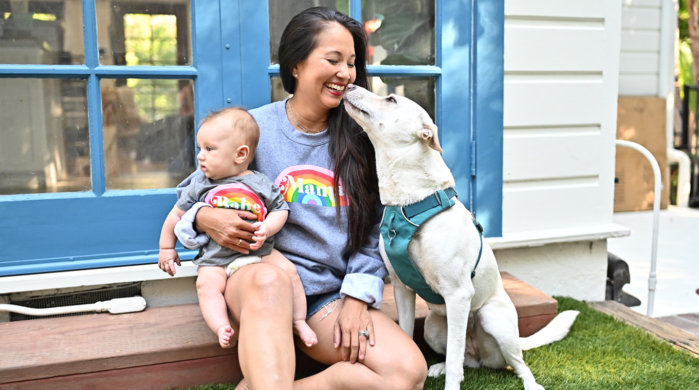 veena rainbow baby dog