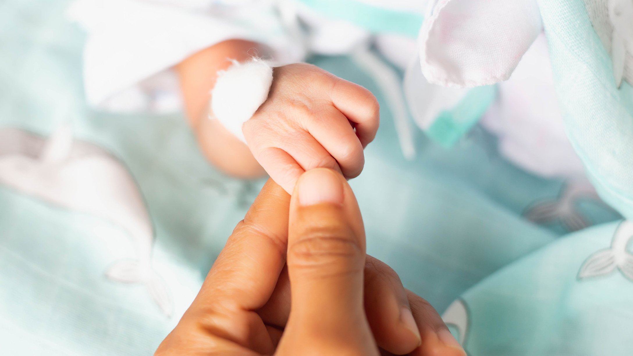 When can a baby survive outside the womb